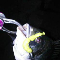 2時間ほどの楽しみ