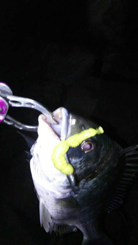 2時間ほどの楽しみ