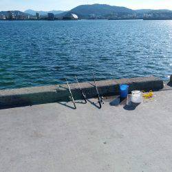 夏太刀魚 淡路島