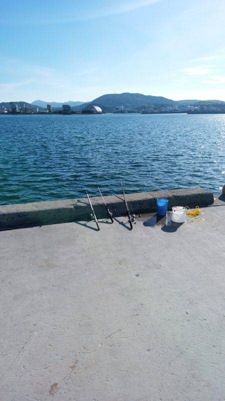 夏太刀魚 淡路島
