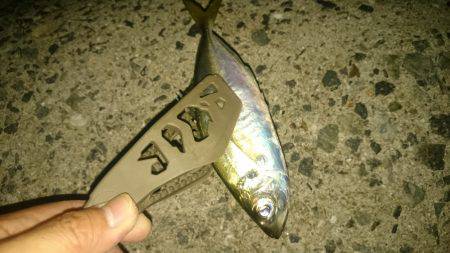 今日～も アジング  3