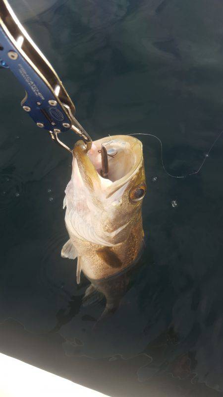 久々のマイボートフィッシング