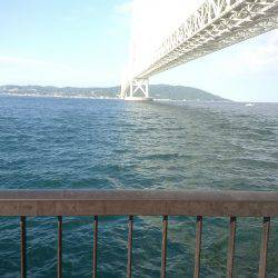 ツバス！？ハマチ！