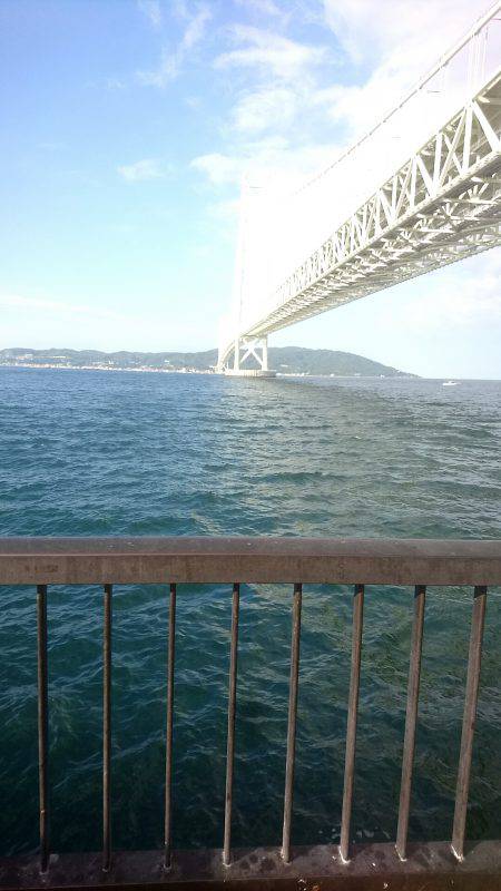 ツバス！？ハマチ！