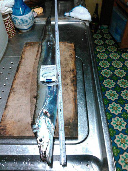 ジギングで夕マヅメにワカシ、暗くなって太刀魚ゲット！