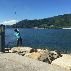 片添浜北の突堤にてかご釣り