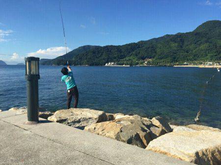 片添浜北の突堤にてかご釣り