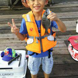 かかり釣り 夏チヌ満喫