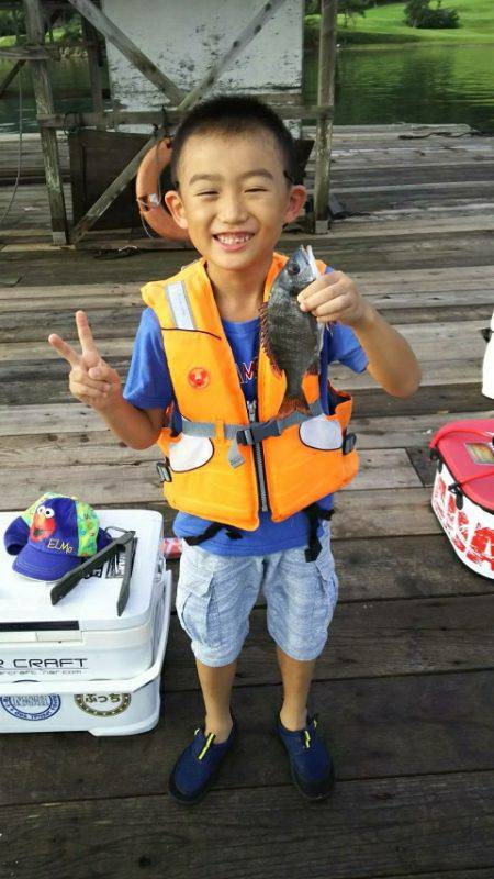 かかり釣り 夏チヌ満喫