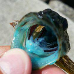 ボーッとしてたらいきなり