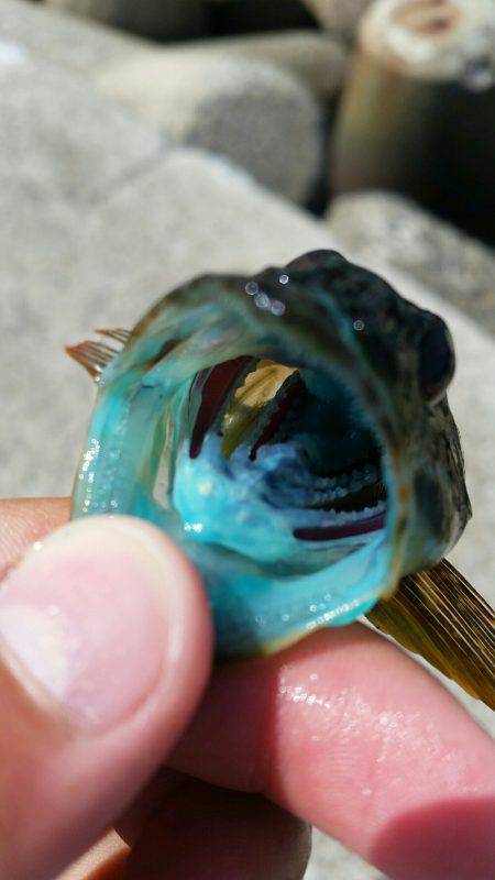 ボーッとしてたらいきなり