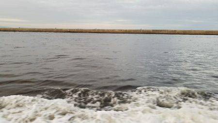 週末恒例朝タコ！