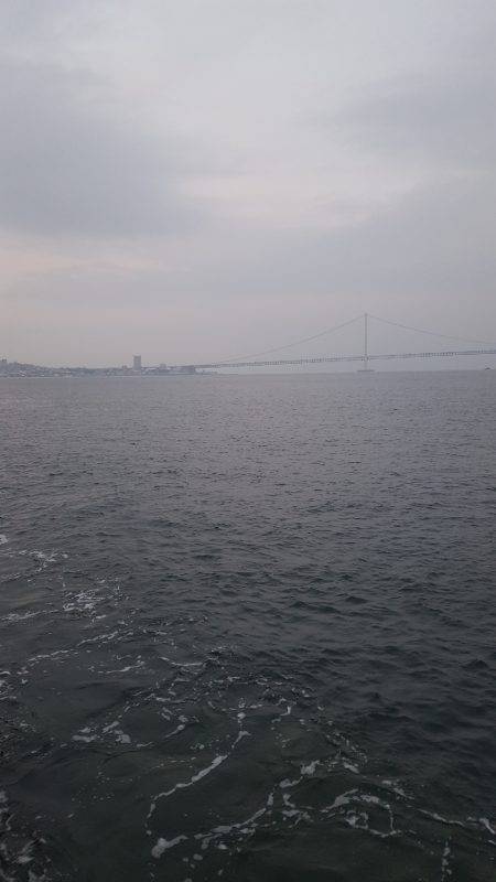 やったりましたわ〰‼