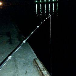 タコ一杯釣るまで帰らない