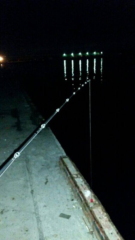 タコ一杯釣るまで帰らない