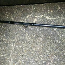 今年の初アオリイカ‼️