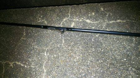 今年の初アオリイカ‼️