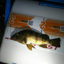 泉南から和歌山からの泉南