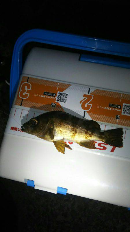 泉南から和歌山からの泉南