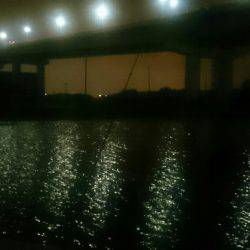 チニングチャレンジ