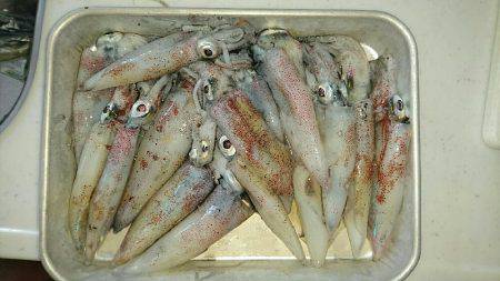 ケンサキからのジギング