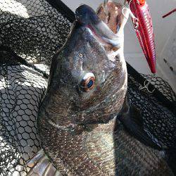 太刀魚ジギング&キャスティング