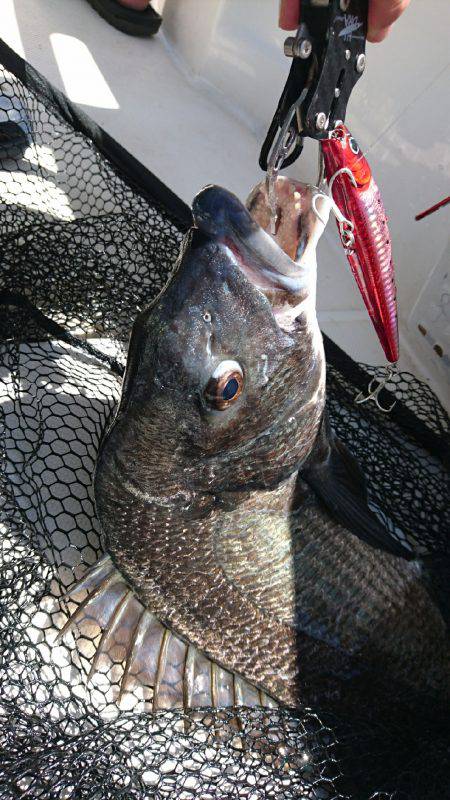 太刀魚ジギング&キャスティング