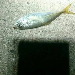 確実に成長している