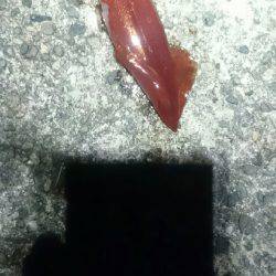 このままでは…