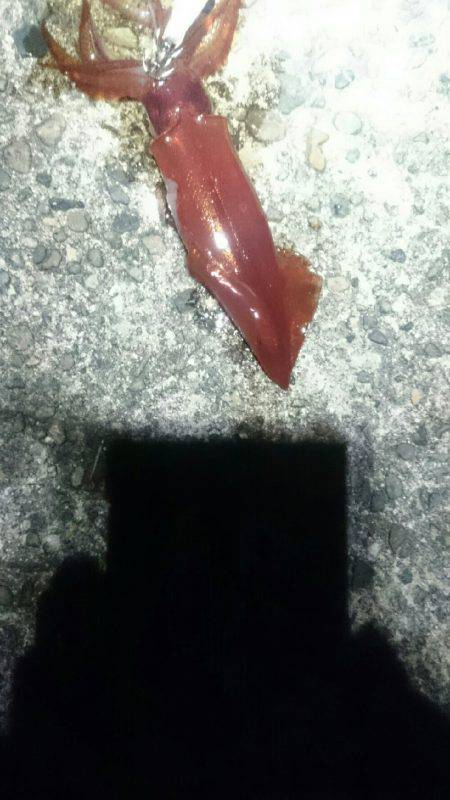 このままでは…