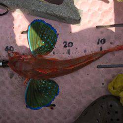 マイボートでタイラバ、ジギング