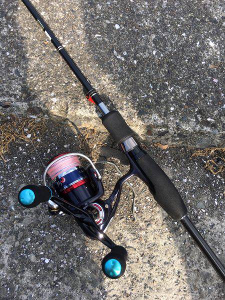 高知は古満目漁港で夏イカ狙い❗️