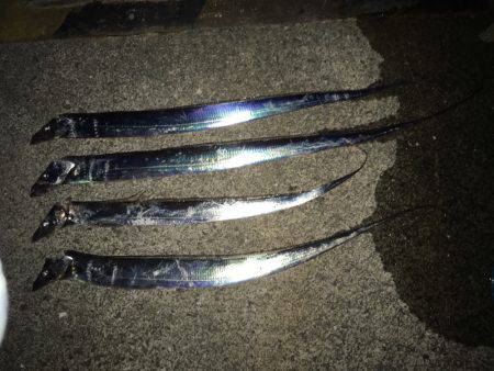 神戸港でタチウオワインド