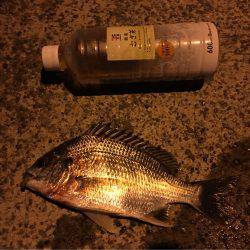 二度見‼︎なぜなんだ‼︎南港でうなぎ‼︎