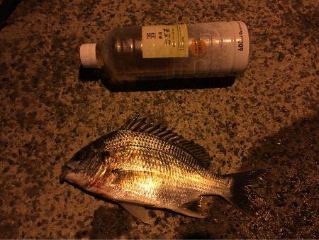 二度見‼︎なぜなんだ‼︎南港でうなぎ‼︎