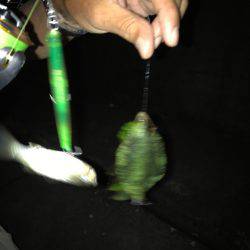 四日市港手前運河にて