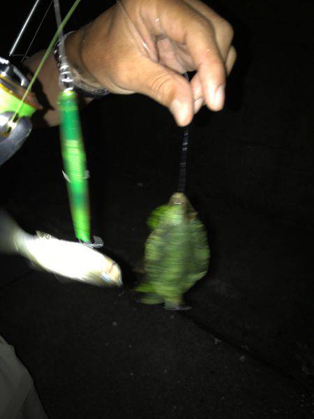 四日市港手前運河にて