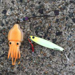 ランガン夏タチショアジギング