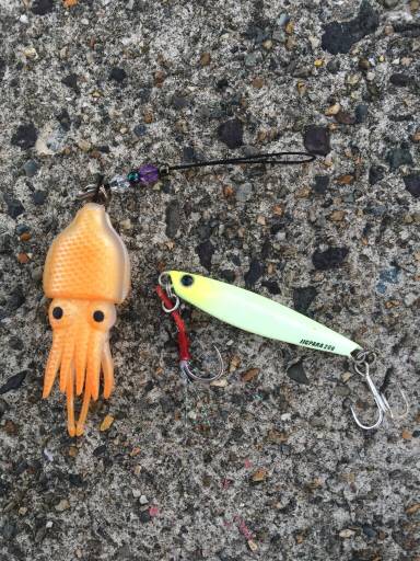 ランガン夏タチショアジギング