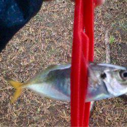 雨ニモマケズ風ニモマケズ