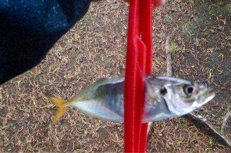 雨ニモマケズ風ニモマケズ