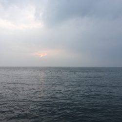 台風後アジング調査