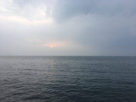 台風後アジング調査