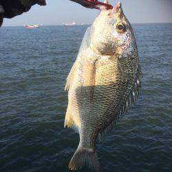 シーバスのはずが(T . T)