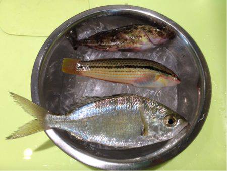 デートフィッシング