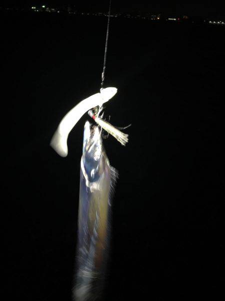 ワインドジャンキー