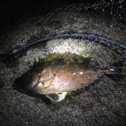 ライトワインド