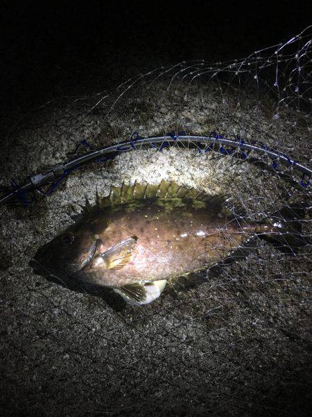 ライトワインド