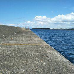 オクトパッシング