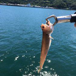 ショアジギ道場